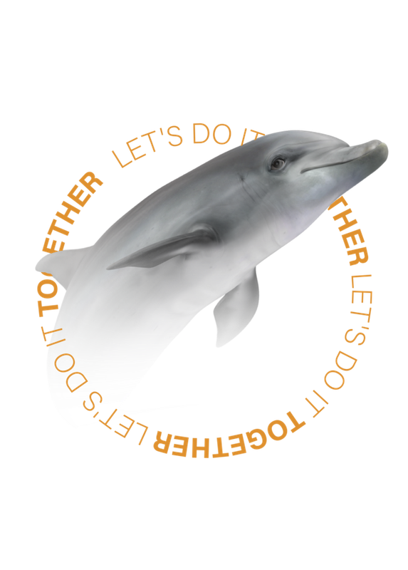 Dolphin archetype