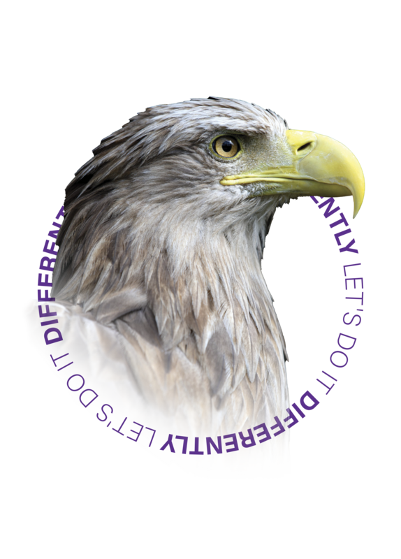 Eagle archetype