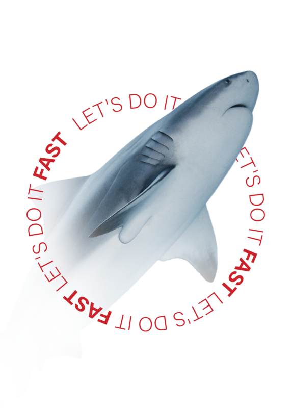Shark archetype