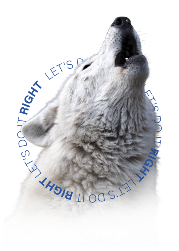 Wolf archetype